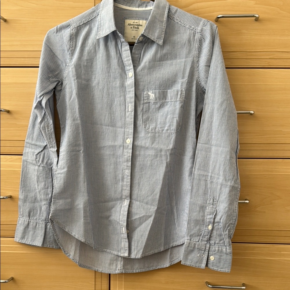 Abercrombie & Fitch Blue Casual Button Down Shirt
